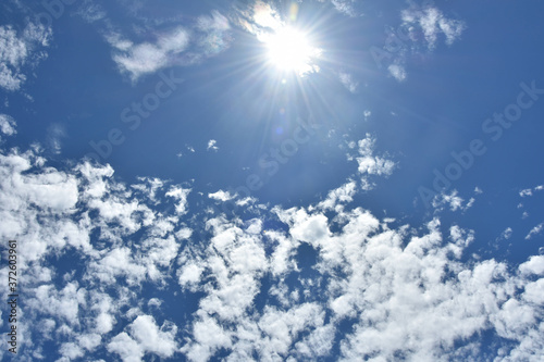 Nature, Wild And Animals