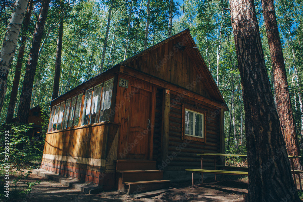 summer wooden house in a birch grove. camping in the woods. tourist base for travelers ' recreation. eco-friendly construction summer wooden house in a birch grove. camping in the woods. tourist base for travelers ' recreation. eco-friendly construction