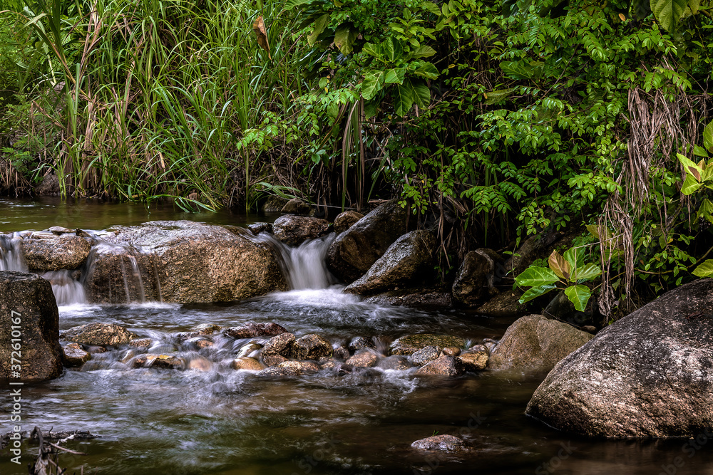 Forest river wild landscape. Wild river stream rocks flowing , Thailand Forest river wild landscape. Wild river stream rocks flowing , Thailand