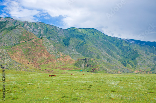 Beautiful mountains Altai summer landscape