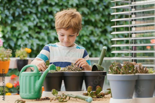 Valokuva Adorable child in casual wear standing near similar pots while planting cactus i