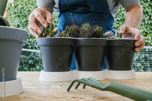 Obraz na plátně Crop unrecognizable male grower demonstrating collection of potted cacti with po