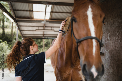 Back view of female equestrian standing in stable and tenderly grooming mane of chestnut horse on ranch