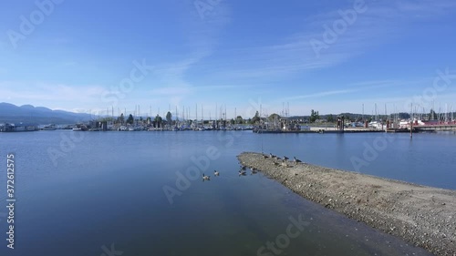 Wallpaper Mural Aerial shot of beautiful harbour with boats and Canada Geese Torontodigital.ca