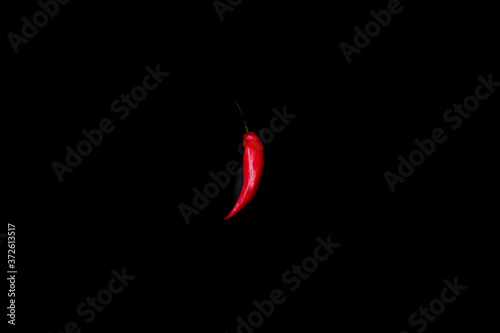 Still life with red chili pepper on dark background