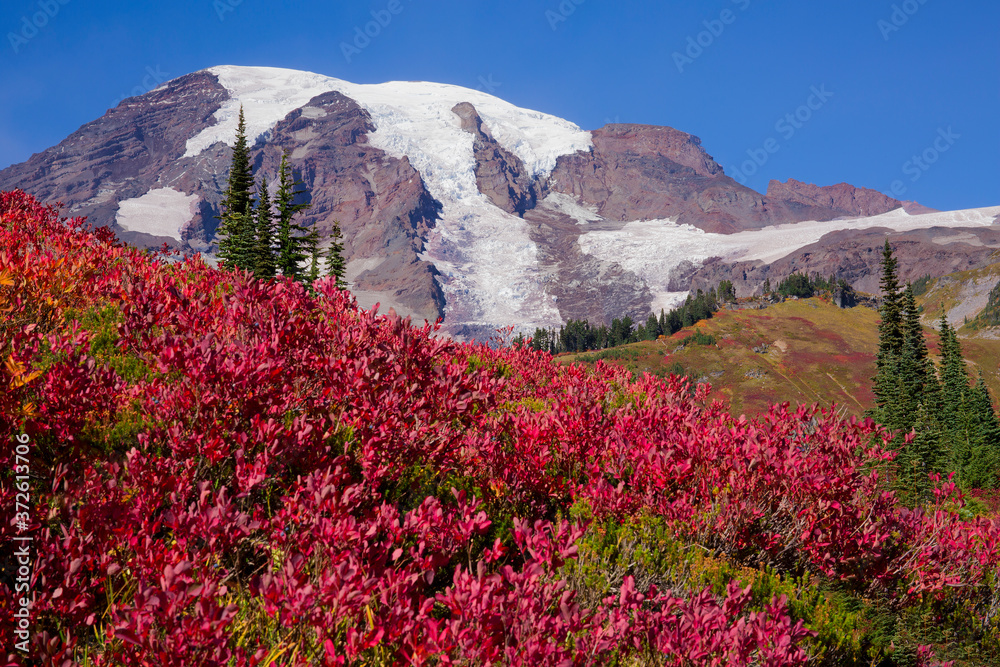 Fototapeta premium Stunning fall foliage at Mt. Rainier National Park in Washington state