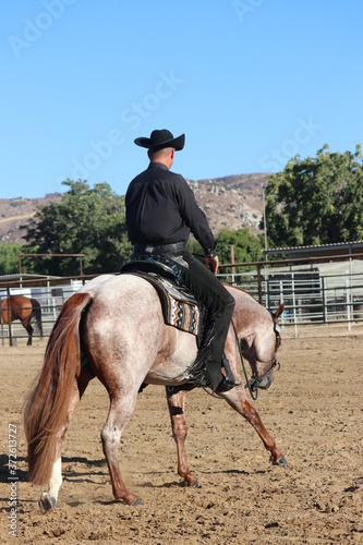 Red Roan photo