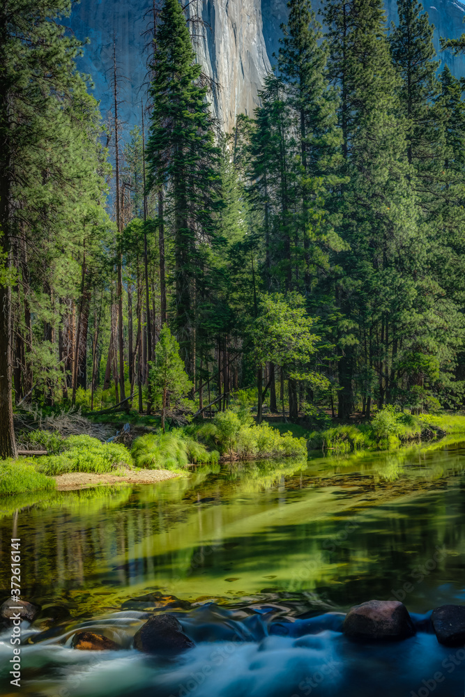 Yosemite National Park America's International Treasure