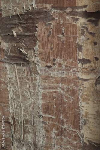 Wood texture, Natural Dark Wooden Background.