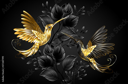 Black and gold hummingbird