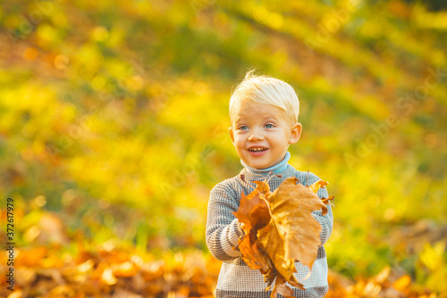 Autumn portrait of cute little caucasian boy. Kids in autumn park on yellow leaf background.