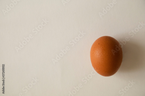 egg