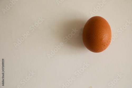 egg