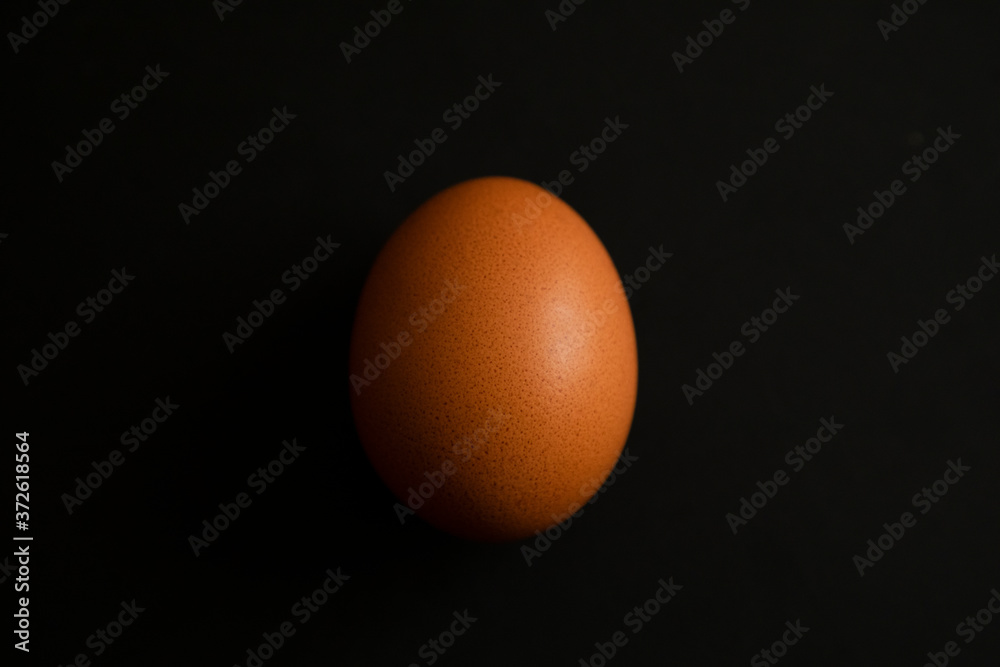 egg