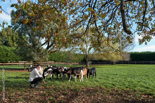 French Chef in a paddock of dairy calves on his farm © Rowena Naylor