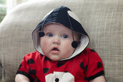 Foto Cute little baby dressed up in homemade Ladybird outfit