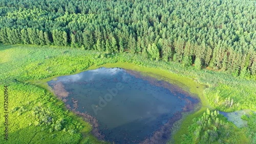 Leśne jezioro na Mazurach w północno-wschodniej Polsce