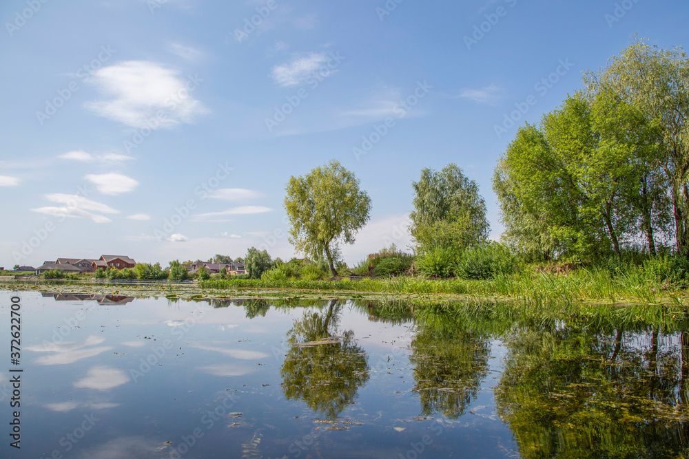 Obraz premium summer landscape with lake