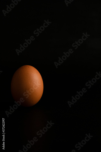 茶色い卵