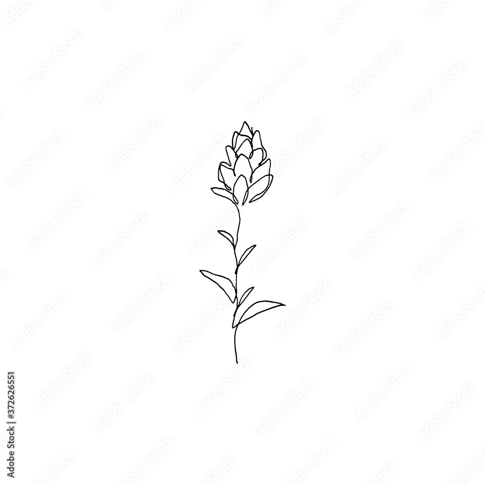 Simple continous line art. Minimalist vector illustration. Great for invitation, greeting card, packages, wrapping, premade logo, business card, stationery, etc. 