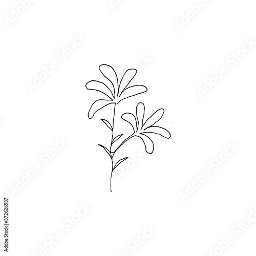 Simple continous line art. Minimalist vector illustration. Great for invitation  greeting card  packages  wrapping  premade logo  business card  stationery  etc. 