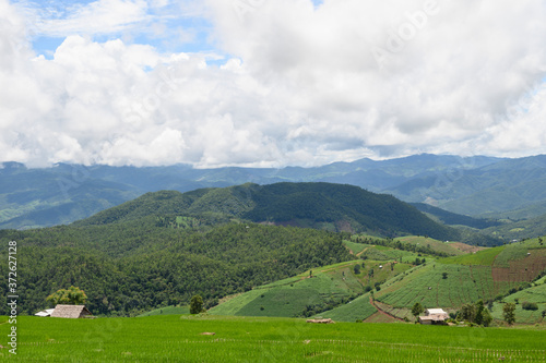 Field and valley scenery on nature background