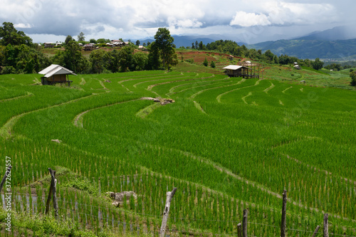 Field and valley scenery on nature background