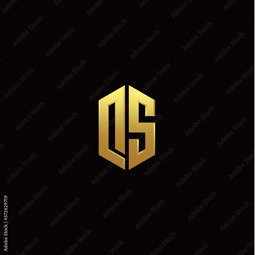D S modern monogram style initial logo template D S modern monogram style initial logo template
