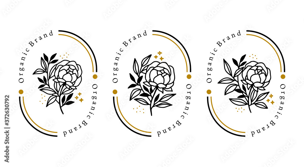 Hand drawn botanical peony flower element for feminine beauty logo or brand package