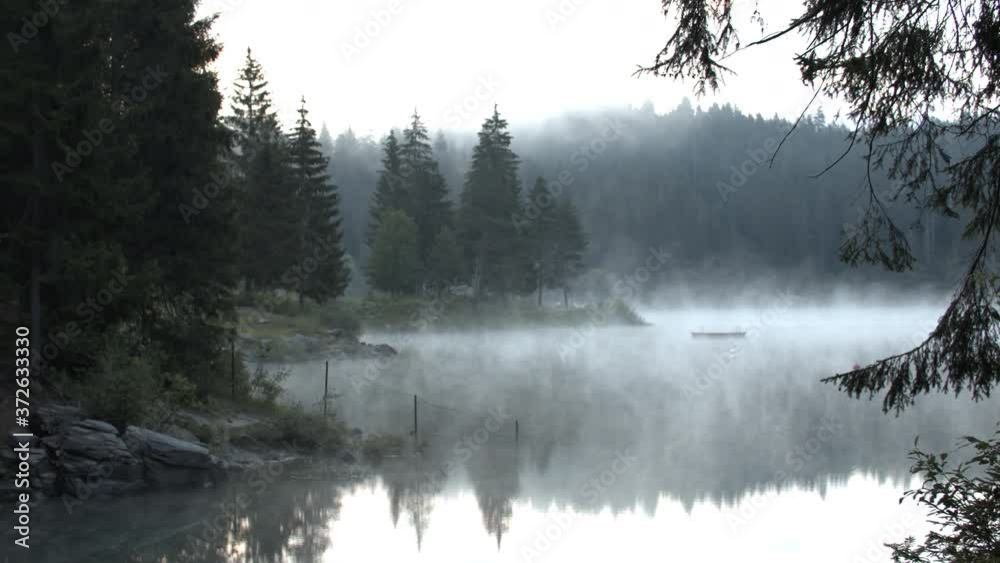 Fog Rising Through A Lake And Forest On A Cold Morning - panning shot Fog Rising Through A Lake And Forest On A Cold Morning - panning shot