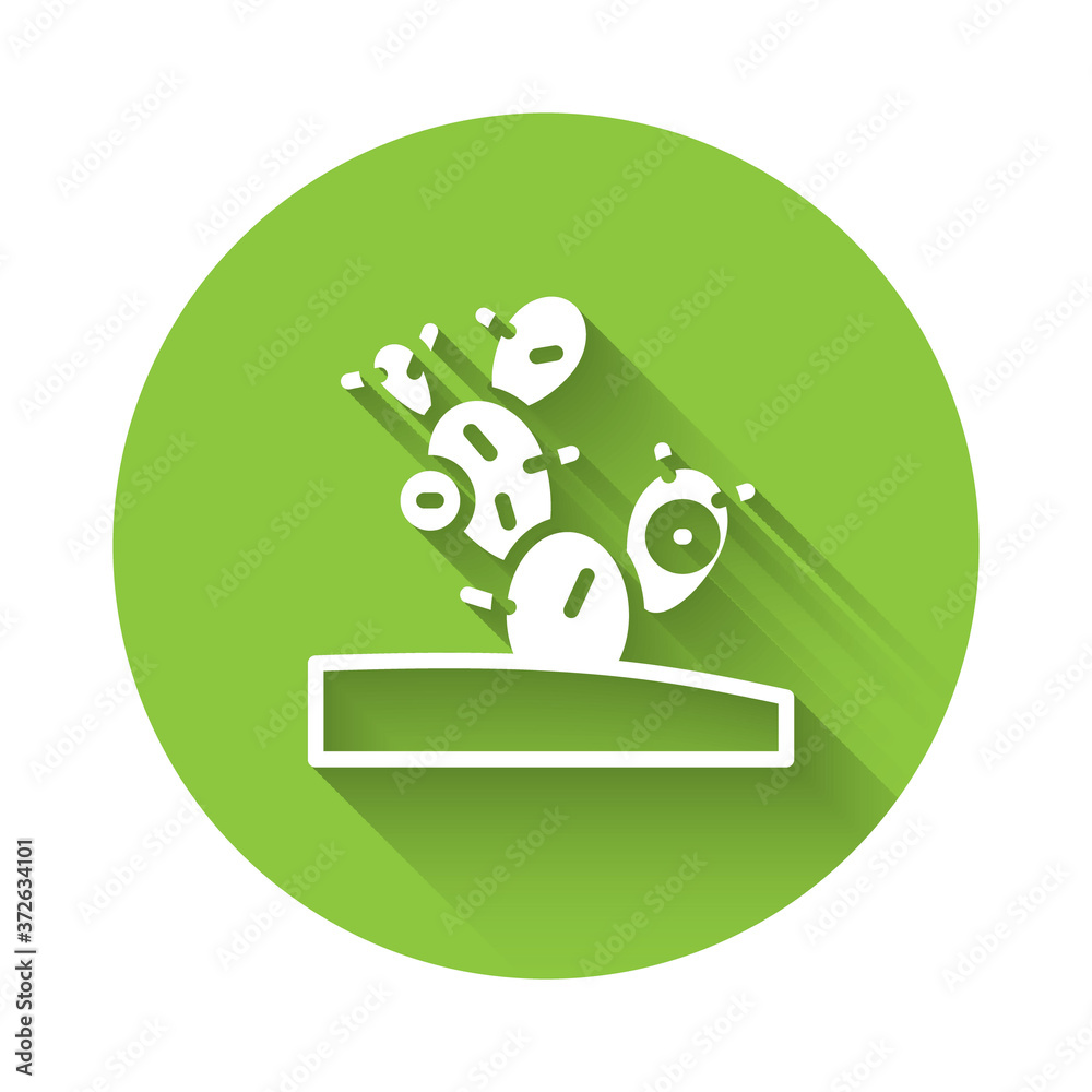 White Cactus icon isolated with long shadow. Green circle button. Vector. White Cactus icon isolated with long shadow. Green circle button. Vector.