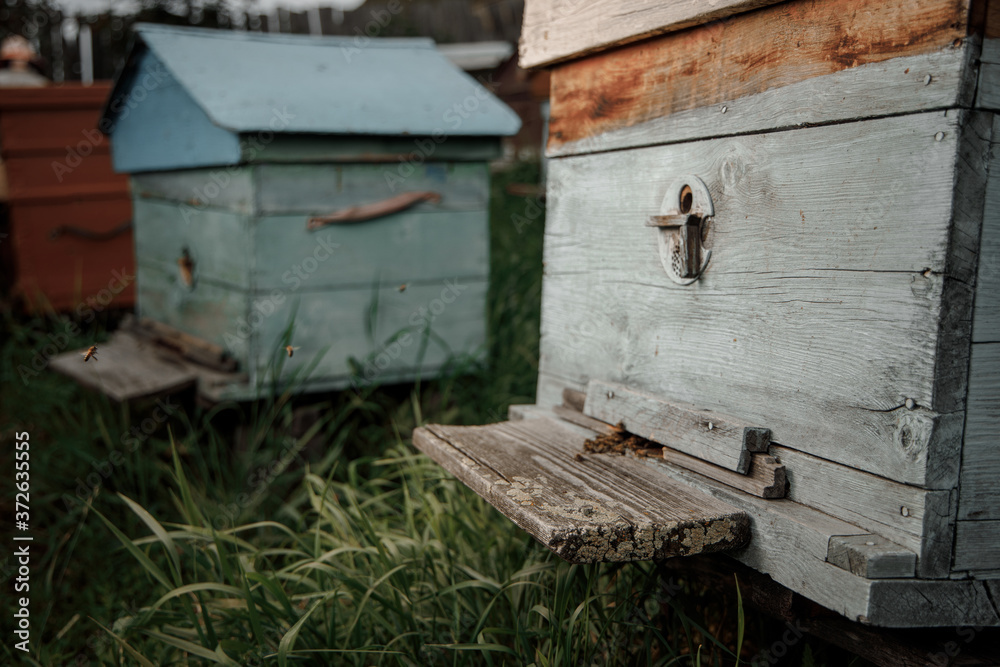 Close up of flying bees. Wooden beehive and bees Close up of flying bees. Wooden beehive and bees