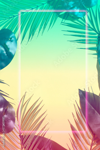 Creative color layout made of tropical leaves with neon light .