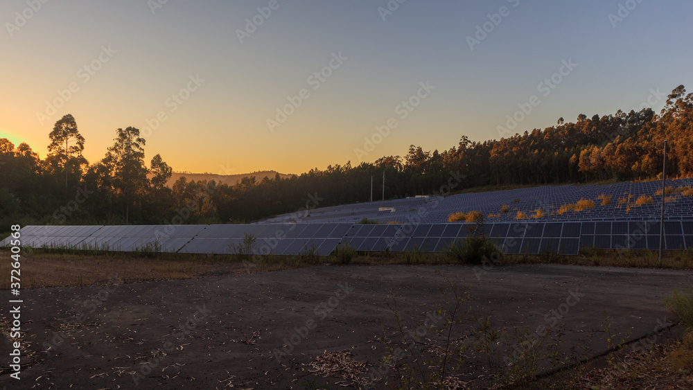 Group of solar panels during the sunset