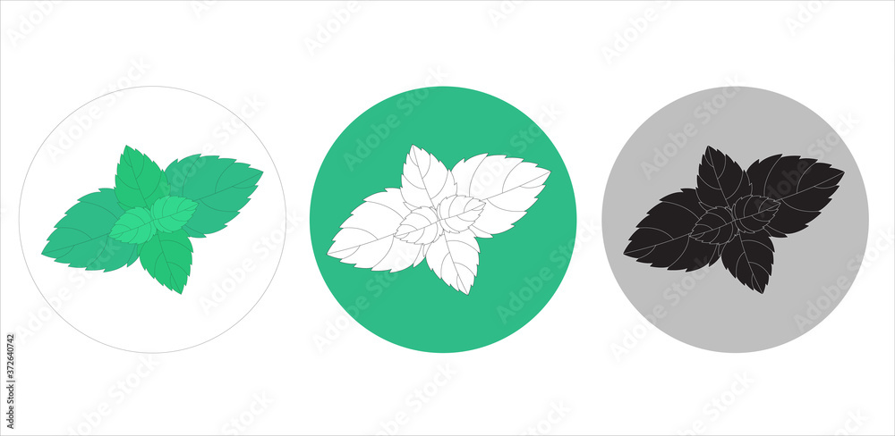 Mint leaf on an isolated background. Vector sign for labels and packaging.
