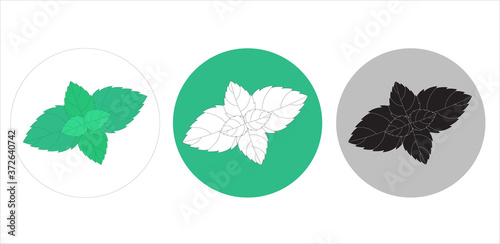 Mint leaf on an isolated background. Vector sign for labels and packaging.