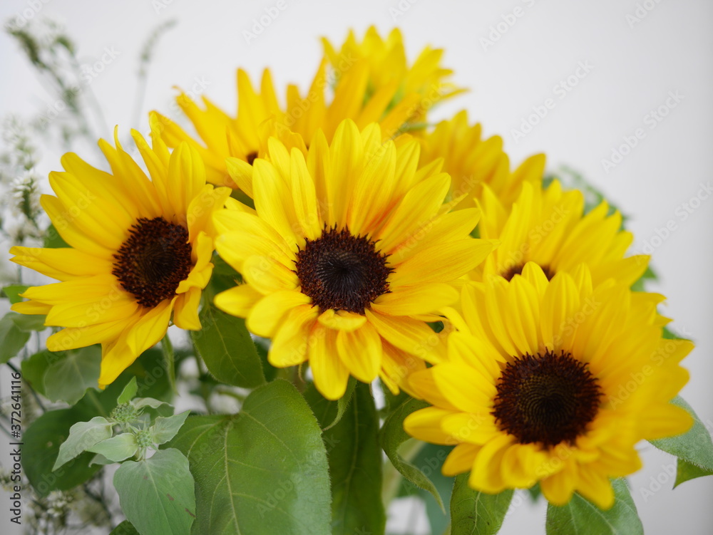 ヒマワリの花束 ヒマワリの花束