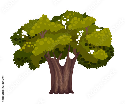 Tree with Exuberant Green Foliage and Trunk Vector Illustration