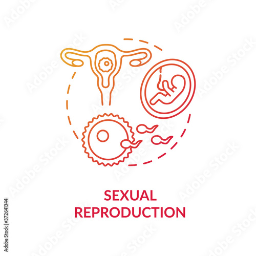 Sexual reproduction concept icon. Human physiology, sex education idea thin line illustration. Woman reproductive system anatomy, biology. Vector isolated outline RGB color drawing
