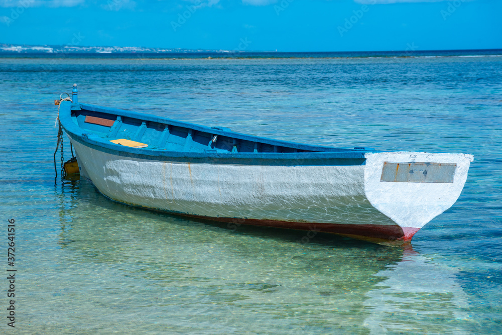 Naklejka premium Ile Maurice - Balaclava Public Beach