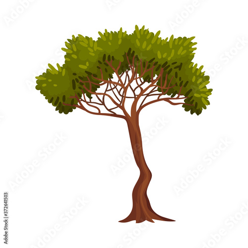 Tree with Exuberant Green Foliage and Trunk Vector Illustration