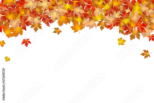 Autumn leaf falling on a white background