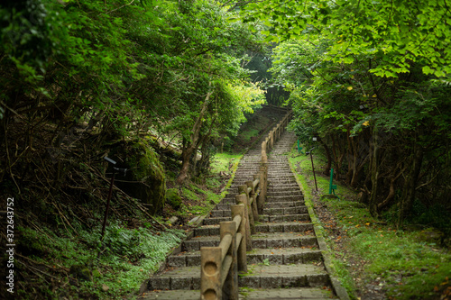 stairs surrounded by trees toward the top of Mt. tsurumi in beppu city  oita pref  japan