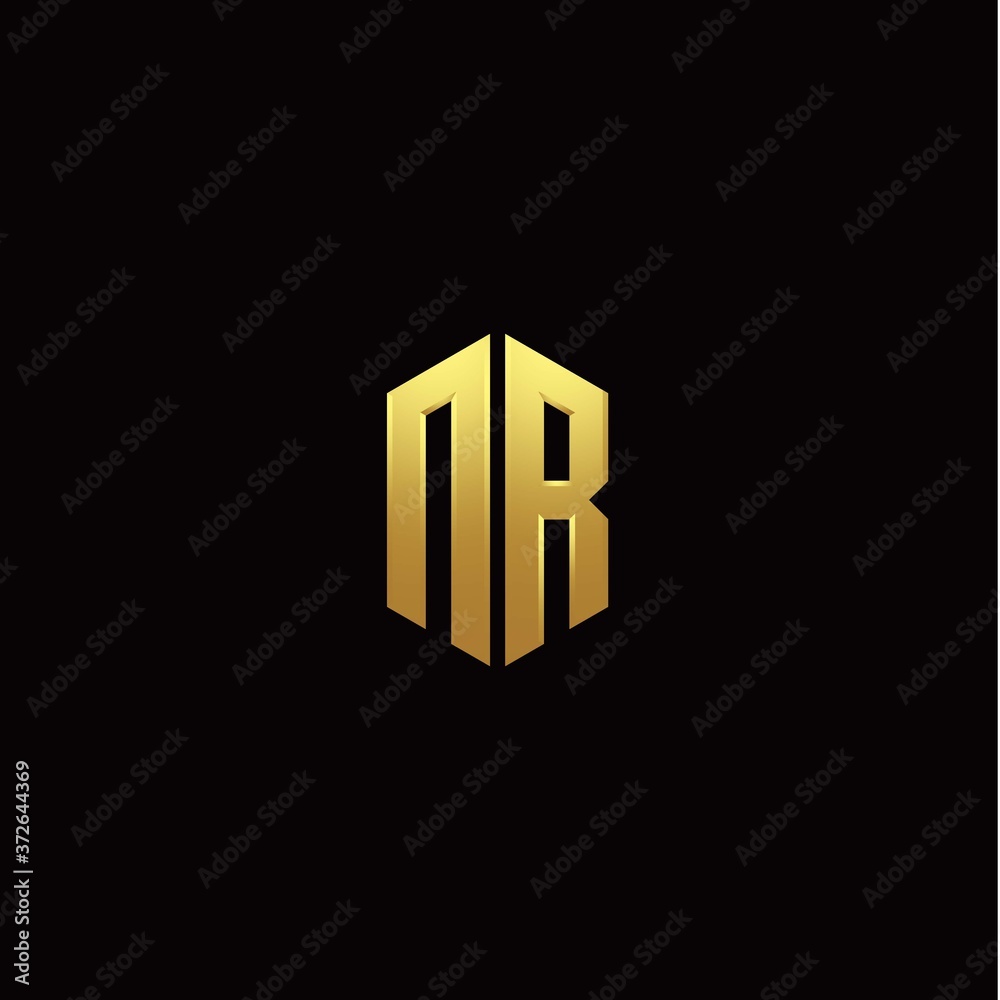 N R modern monogram style initial logo template N R modern monogram style initial logo template