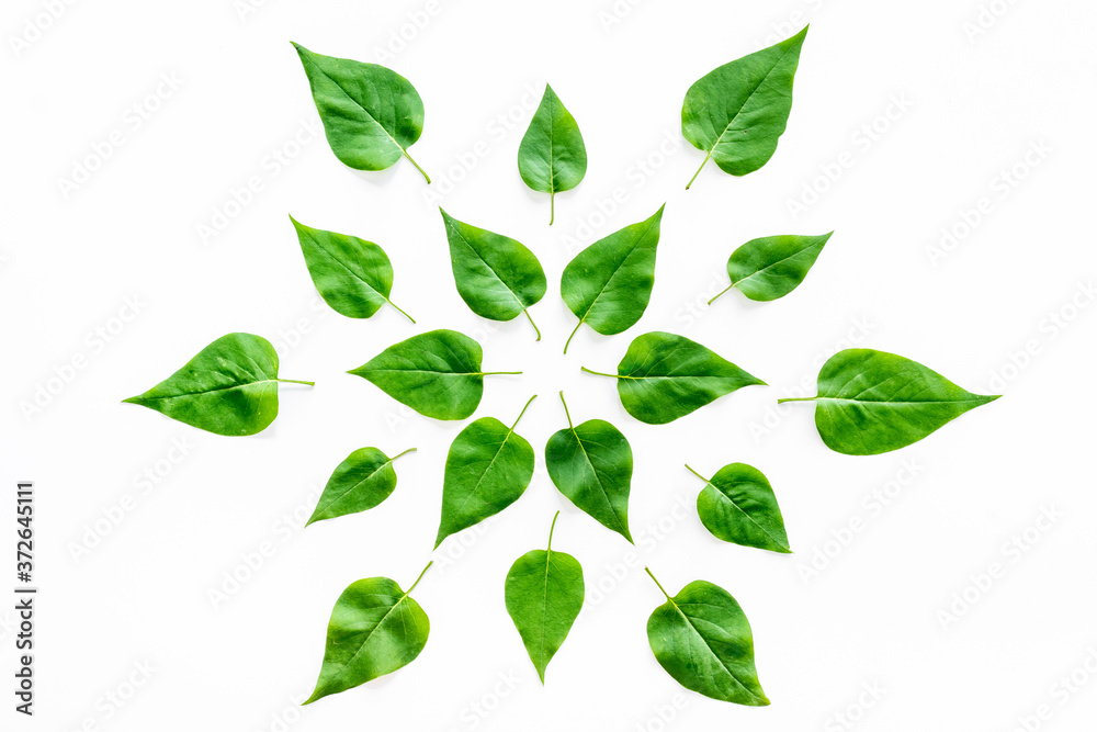 Naklejka premium Lauout of green leaves - nature background. Top view