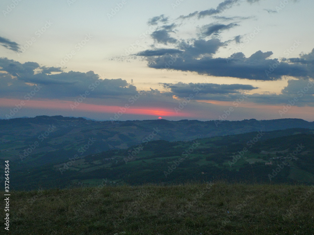 alba alba