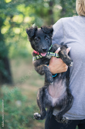 Homeless puppy on a woman’s arm. Volunteer Search for Puppies at Home
