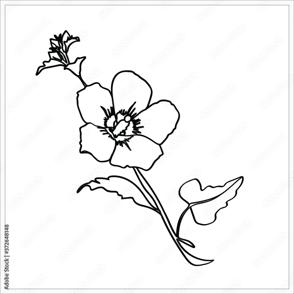 Obraz premium Hibiscus pattern.Image on white and colored background.