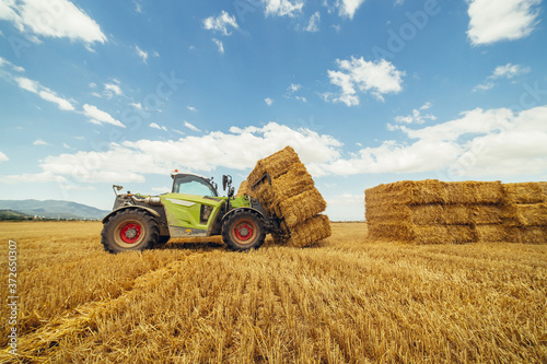 Telescopic handler gathering and stacking bales. Telescopic machinery for agricultural sector. Loading bales of straw. Agriculture concept.