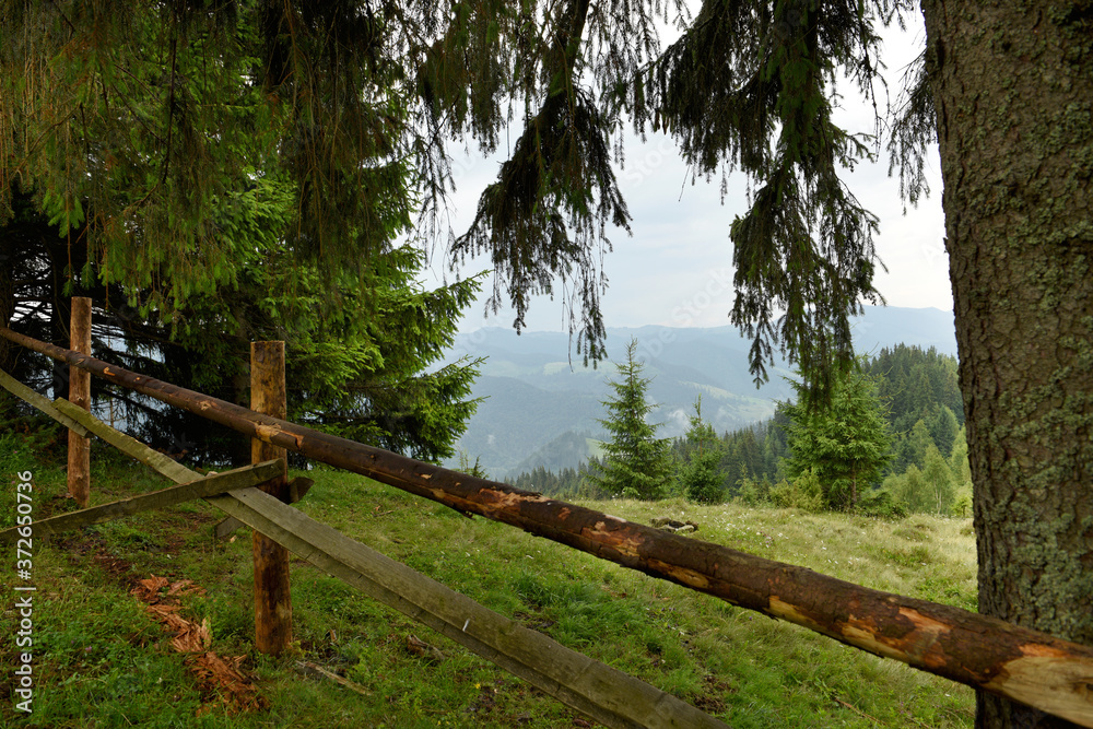Summer view of mountains among green firs. An arch made of fir branches and an old wooden fence.